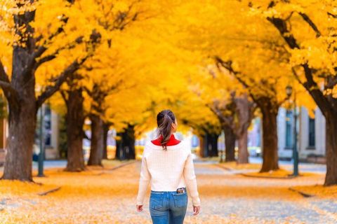 Guide to Autumn Travel: Why More People Prefer Fall Over Summer Holidays