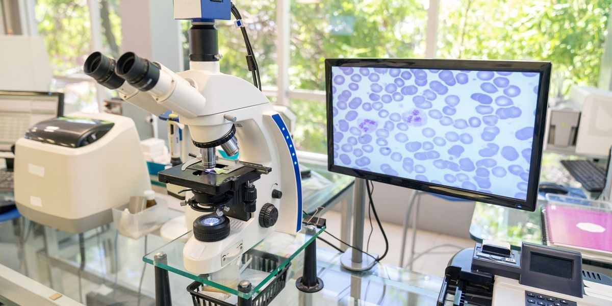 Explore Modern Microscopes: Key Insights into Advanced Imaging Methods