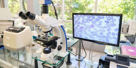 Explore Modern Microscopes: Key Insights into Advanced Imaging Methods