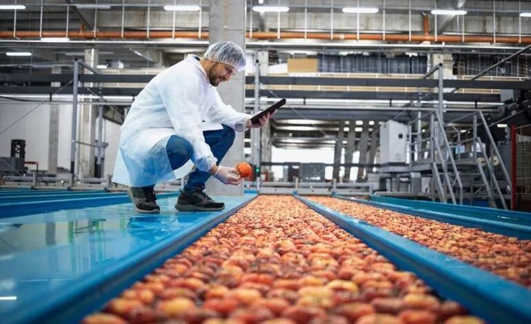 Explore Food Manufacturing: A Comprehensive Guide with Basics, Facts, and Practical Insights