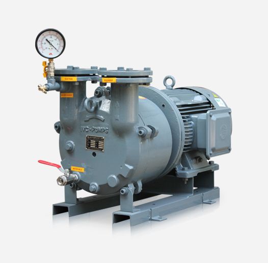 Industrial Vacuum Pump Manufacturing: Process, Types & Applications