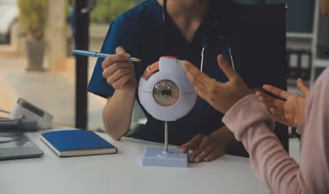 Learn About Vision Tools: Uses, Features and Applications