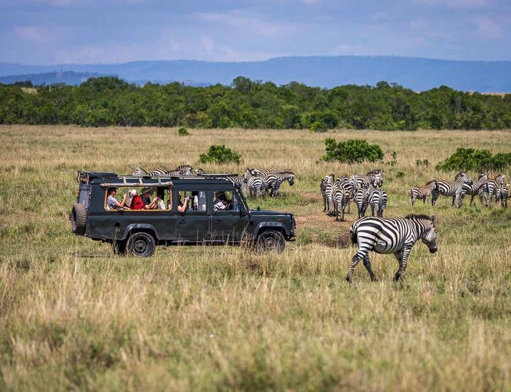 Introduction to Private Safari Tours: Explanation, Information, and Suggestions