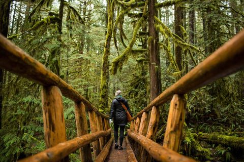 Eco-Tourism Destinations: A Practical Guide to Responsible and Sustainable Travel