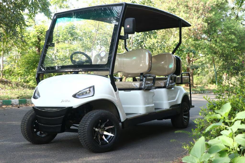Golf Cart Rentals Overview: Basics, Advice, Facts, and Smart Usage Tips