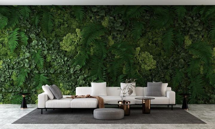 Living Wall Discover Insights: Design and Plant Details