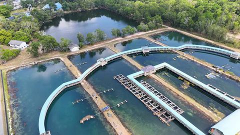 Industrial Water Treatment Systems: Explore Core Processes & Methods