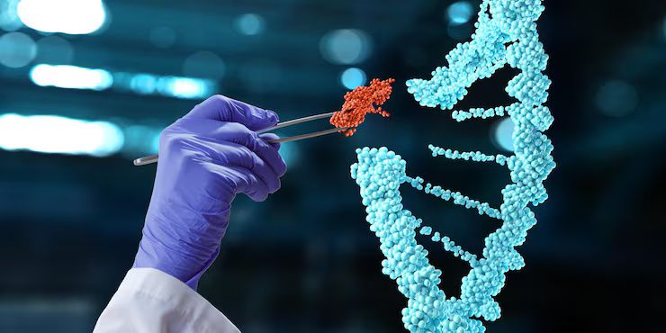 Understanding CRISPR Gene Editing: Process, Technology, and Its Potential for Gene Therapy
