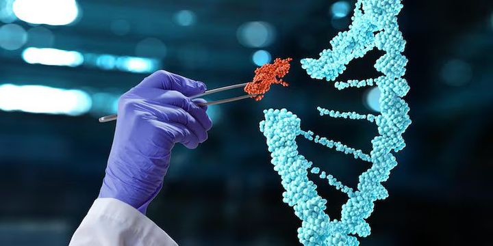 Understanding CRISPR Gene Editing: Process, Technology, and Its Potential for Gene Therapy