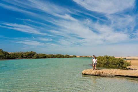 Discover Abu Dhabi Island Adventures: A Guide to Nature, Leisure, and Exploration