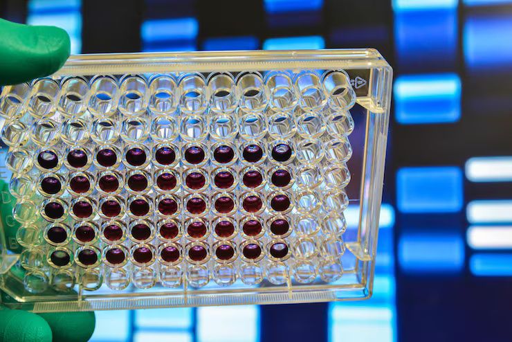 Explore Polymer Device Use Cases in Microfluidics: An Informative Guide and Overview